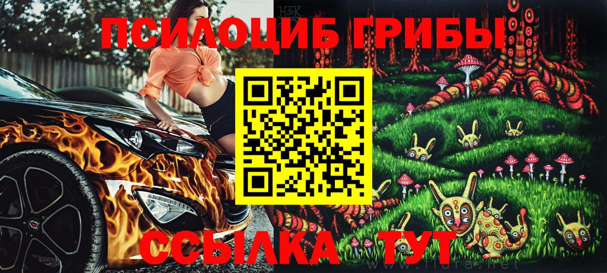Наро-Фоминск  Псилоцибиновые грибы прущие грибы  Вход с VPN 